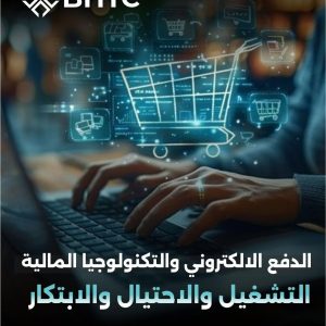 Electronic payments and fintech: operations, fraud and innovation