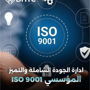ISO 9001: Total Quality Management and Organizational Excellence